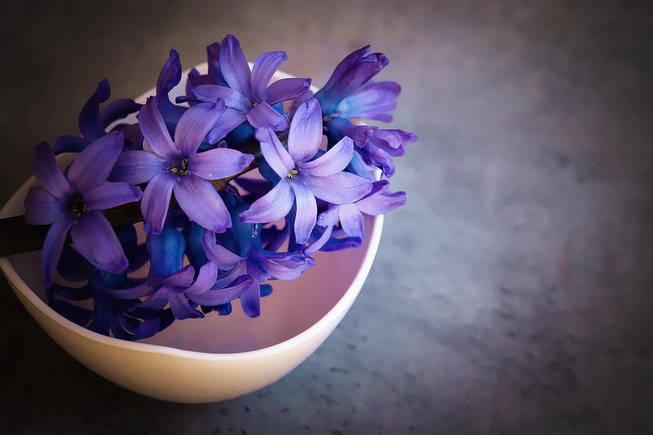 Geurintensieve bloemen boeket op houten eettafel binnen. Geurintensieve bloemen boeket op houten eettafel binnen.